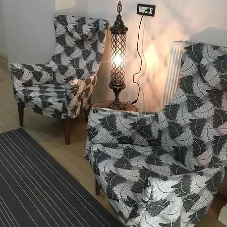 Istanbul Apartment Apartment